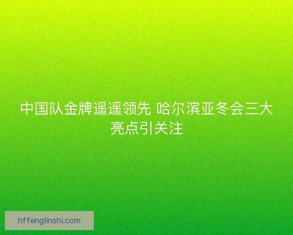 中国队金牌遥遥领先 哈尔滨亚冬会三大亮点引关注